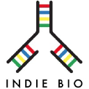 SOSV SF / SOSV NY (formerly IndieBio) logo