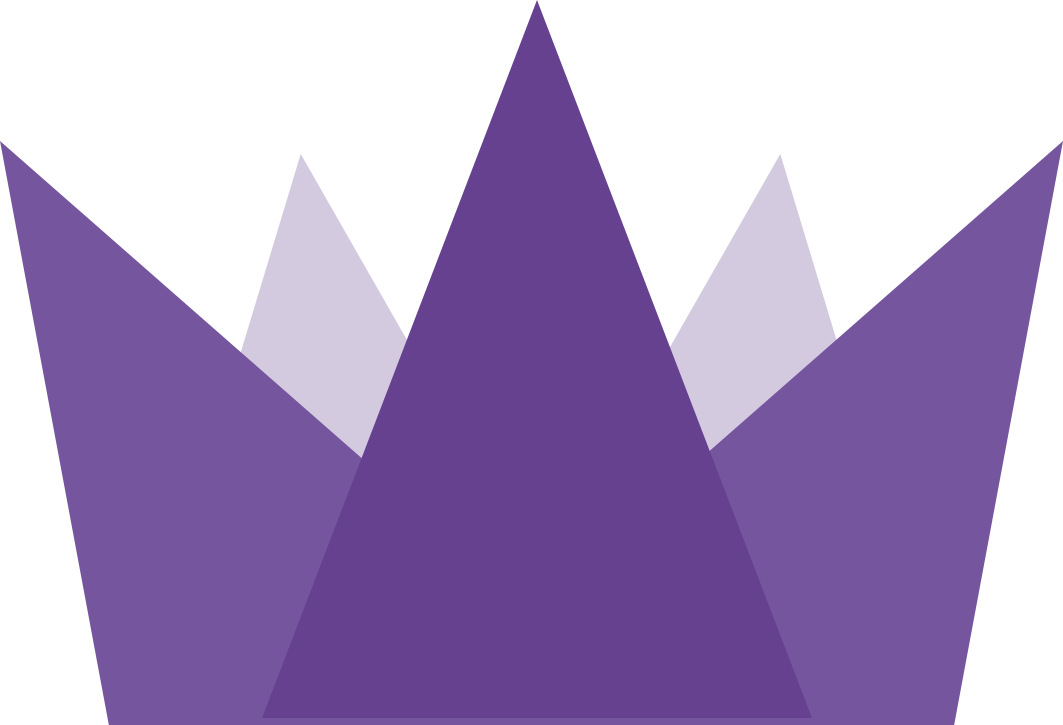 Soma Capital Fellowship logo