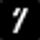 Seed Club logo